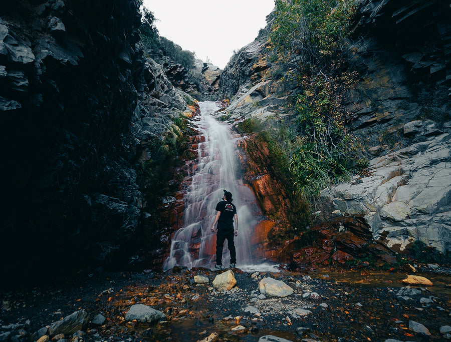 Día de la Tierra y la Importancia de Concientizar