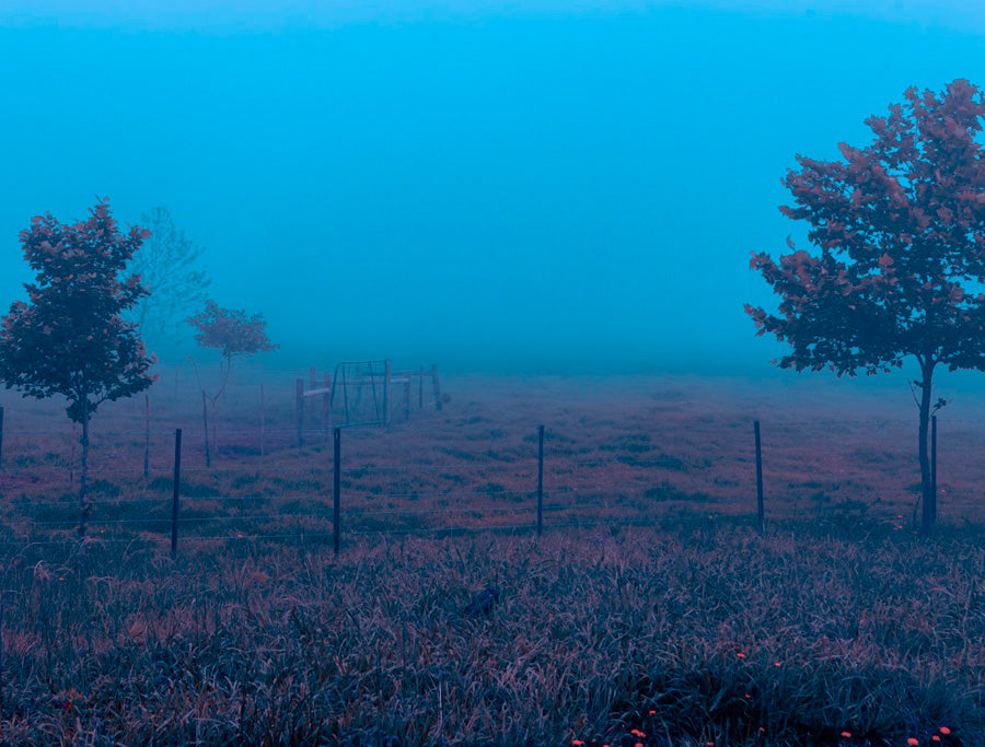 Nostalgia en la Intemperie Azul