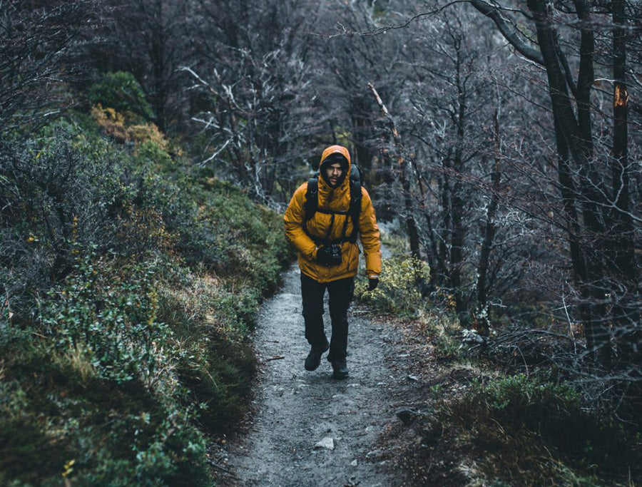 Martín Berrios: En busca de un nuevo Lenguaje Visual