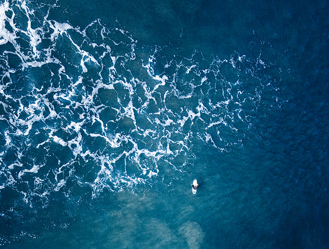 Celebrando el Día Mundial del Agua: Un Recurso Esencial para la Vida